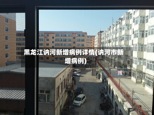 黑龙江讷河新增病例详情(讷河市新增病例)