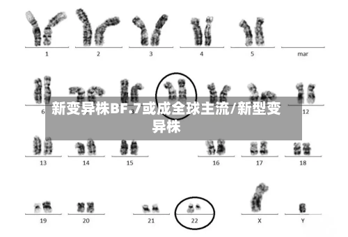 新变异株BF.7或成全球主流/新型变异株-第3张图片