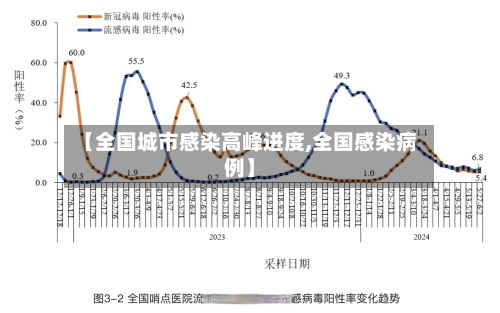 【全国城市感染高峰进度,全国感染病例】-第3张图片