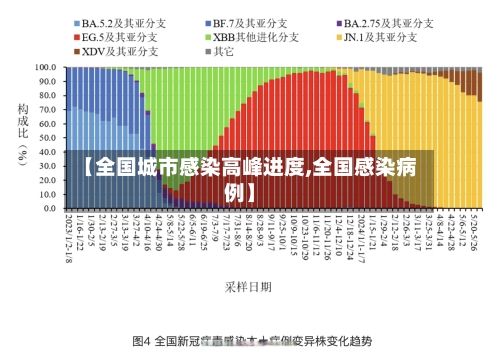 【全国城市感染高峰进度,全国感染病例】