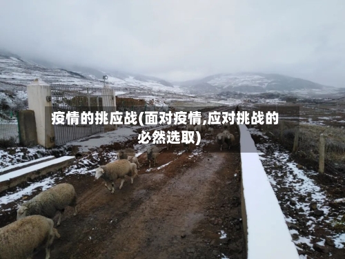 疫情的挑应战(面对疫情,应对挑战的必然选取)