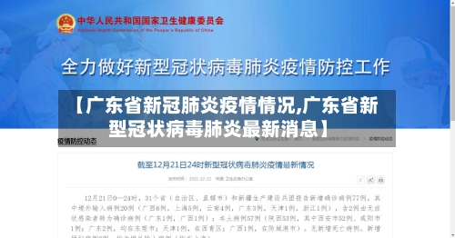 【广东省新冠肺炎疫情情况,广东省新型冠状病毒肺炎最新消息】-第2张图片