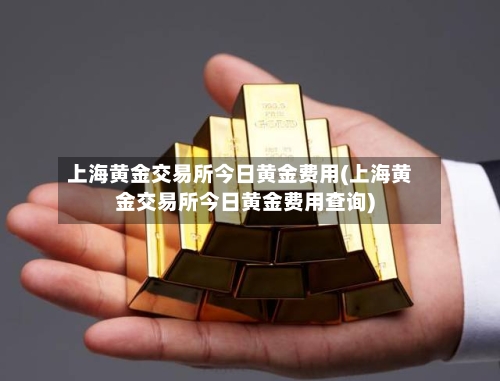上海黄金交易所今日黄金费用(上海黄金交易所今日黄金费用查询)
