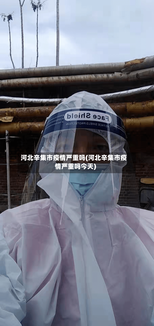 河北辛集市疫情严重吗(河北辛集市疫情严重吗今天)