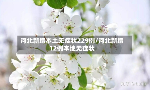 河北新增本土无症状229例/河北新增12例本地无症状-第2张图片