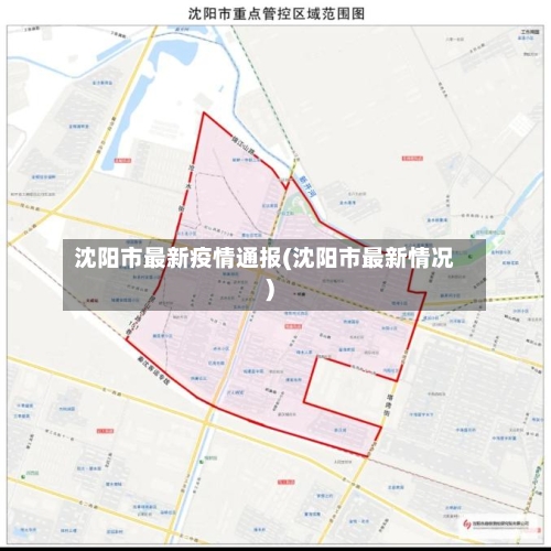 沈阳市最新疫情通报(沈阳市最新情况)