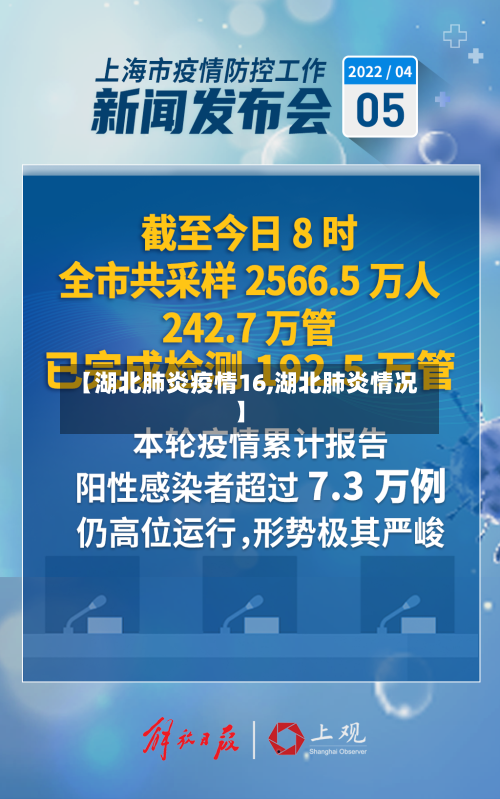 【湖北肺炎疫情16,湖北肺炎情况】-第3张图片