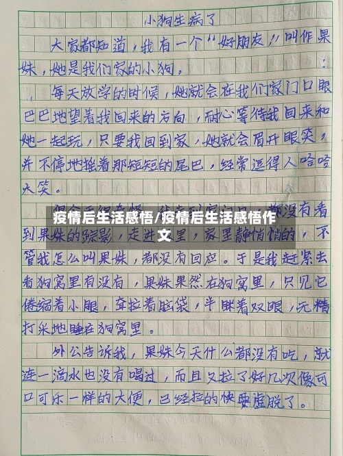 疫情后生活感悟/疫情后生活感悟作文-第2张图片