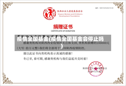 疫情全国基金(疫情全国基金会停止吗)