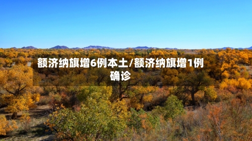 额济纳旗增6例本土/额济纳旗增1例确诊-第3张图片