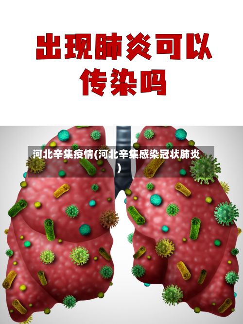 河北辛集疫情(河北辛集感染冠状肺炎)-第2张图片