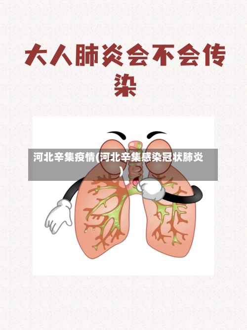 河北辛集疫情(河北辛集感染冠状肺炎)-第3张图片