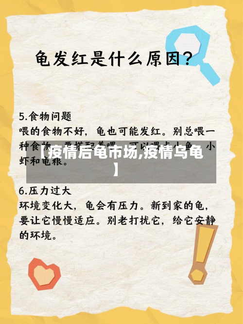 【疫情后龟市场,疫情乌龟】