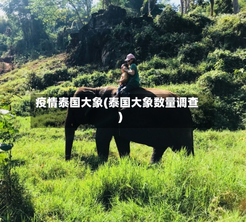 疫情泰国大象(泰国大象数量调查)