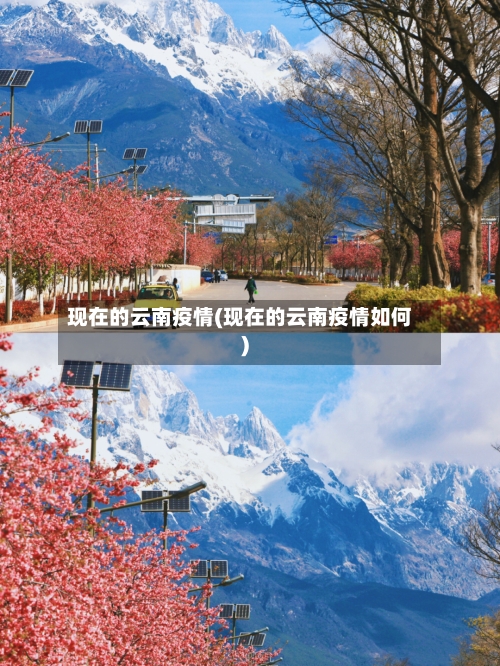 现在的云南疫情(现在的云南疫情如何)-第2张图片