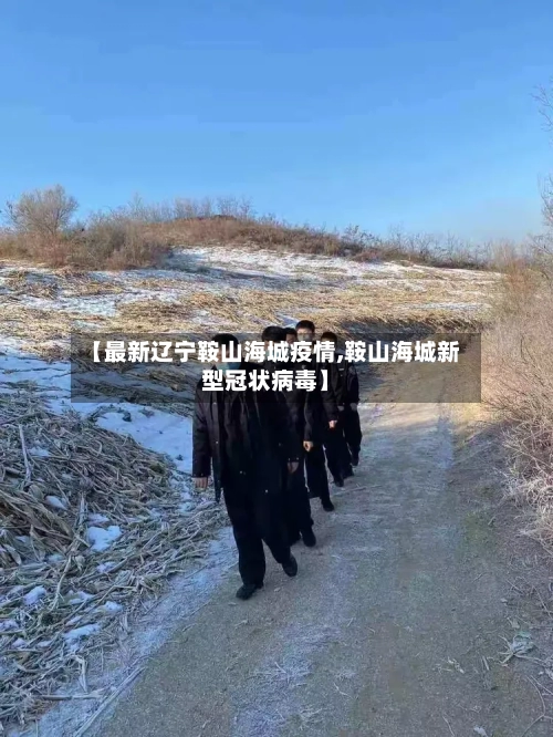 【最新辽宁鞍山海城疫情,鞍山海城新型冠状病毒】-第2张图片