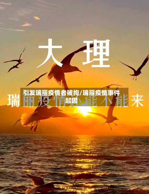 引发瑞丽疫情者被拘/瑞丽疫情事件起因