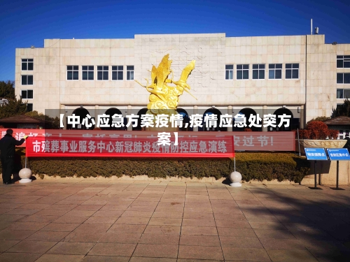 【中心应急方案疫情,疫情应急处突方案】