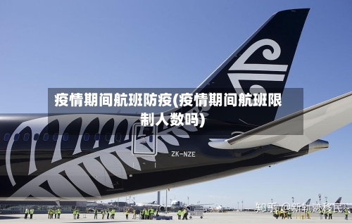 疫情期间航班防疫(疫情期间航班限制人数吗)