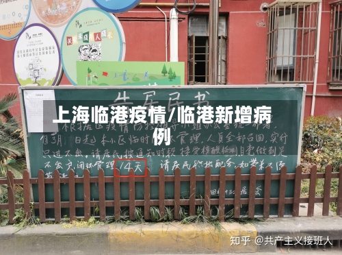 上海临港疫情/临港新增病例