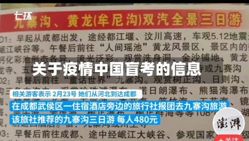 关于疫情中国盲考的信息