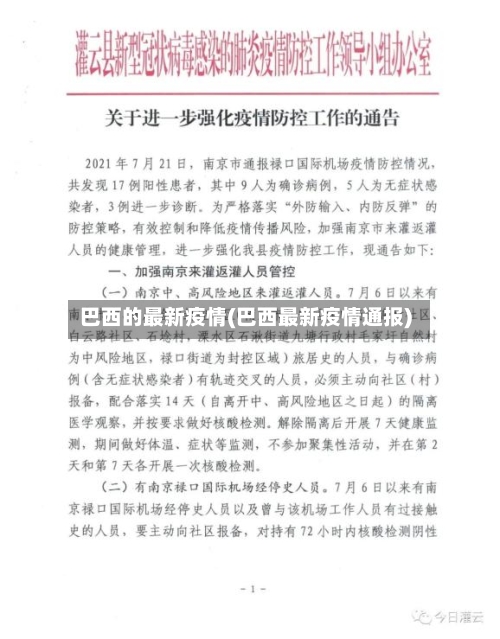 巴西的最新疫情(巴西最新疫情通报)-第2张图片