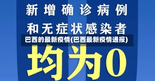 巴西的最新疫情(巴西最新疫情通报)-第3张图片