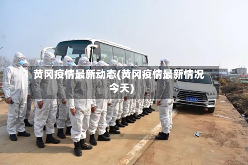 黄冈疫情最新动态(黄冈疫情最新情况今天)-第2张图片