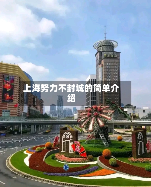 上海努力不封城的简单介绍