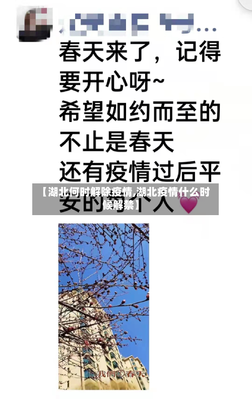 【湖北何时解除疫情,湖北疫情什么时候解禁】-第2张图片
