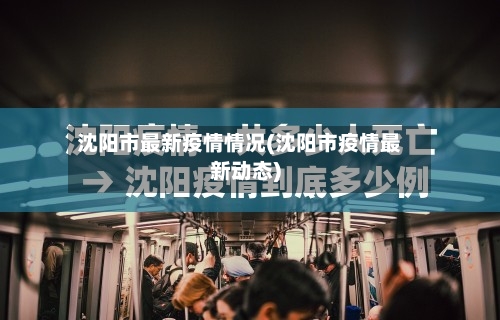 沈阳市最新疫情情况(沈阳市疫情最新动态)