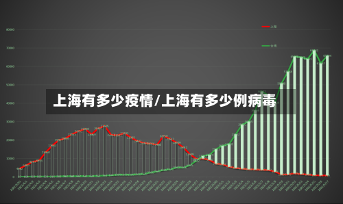 上海有多少疫情/上海有多少例病毒-第3张图片