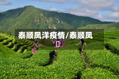 泰顺凤洋疫情/泰顺凤垟-第2张图片