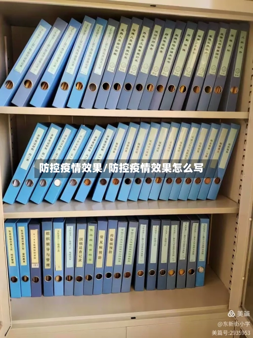 防控疫情效果/防控疫情效果怎么写