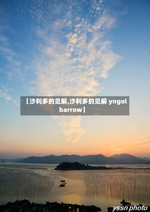 【沙利多的见解,沙利多的见解 yngol barrow】-第3张图片