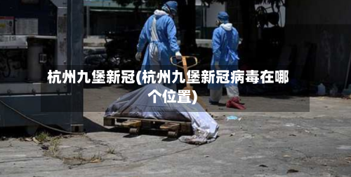 杭州九堡新冠(杭州九堡新冠病毒在哪个位置)