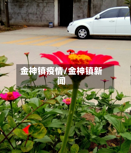 金神镇疫情/金神镇新闻-第2张图片