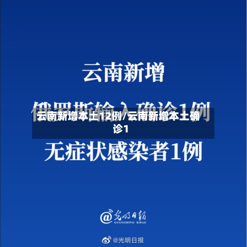 云南新增本土12例/云南新增本土确诊1-第2张图片