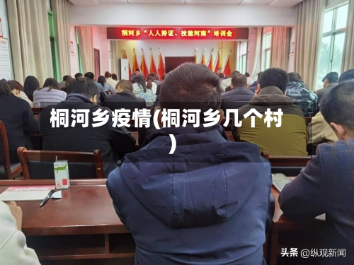 桐河乡疫情(桐河乡几个村)
