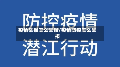 疫情举报怎么举报/疫情防控怎么举报