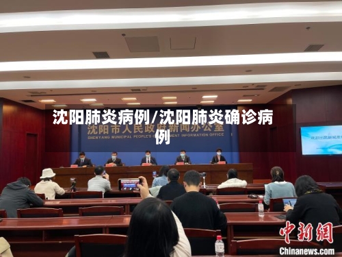 沈阳肺炎病例/沈阳肺炎确诊病例-第2张图片