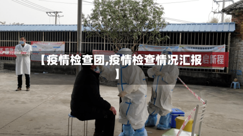 【疫情检查团,疫情检查情况汇报】-第3张图片