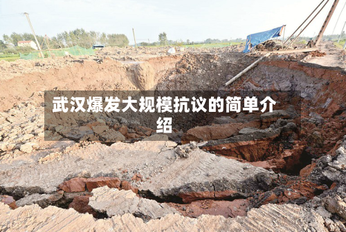 武汉爆发大规模抗议的简单介绍-第2张图片