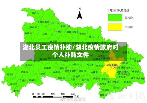 湖北员工疫情补助/湖北疫情政府对个人补贴文件