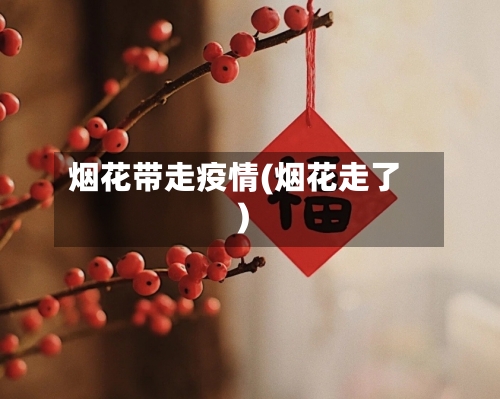 烟花带走疫情(烟花走了)-第3张图片