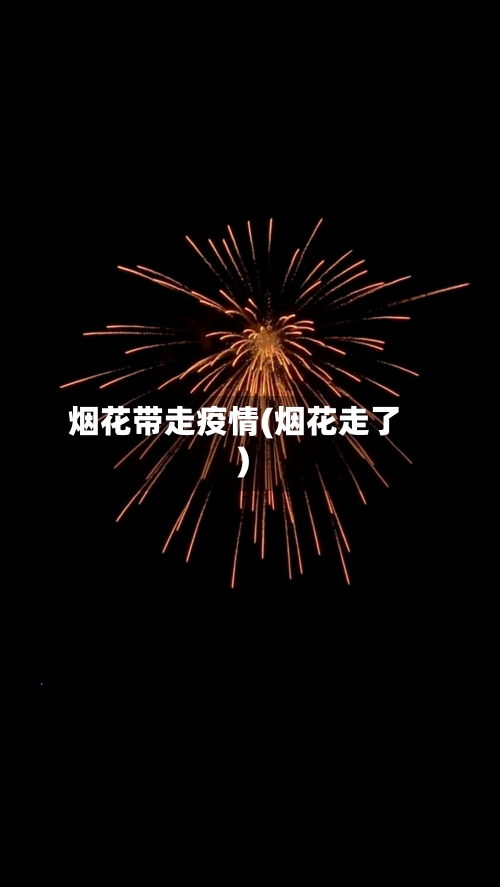 烟花带走疫情(烟花走了)