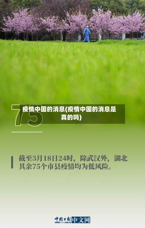 疫情中国的消息(疫情中国的消息是真的吗)