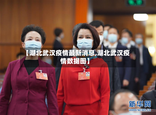 【湖北武汉疫情最新消息,湖北武汉疫情数据图】