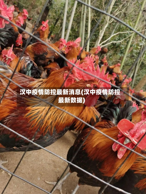 汉中疫情防控最新消息(汉中疫情防控最新数据)-第2张图片