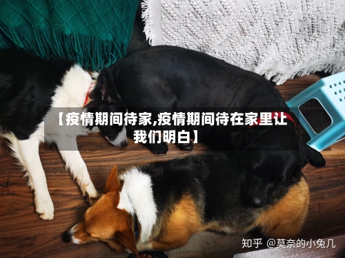 【疫情期间待家,疫情期间待在家里让我们明白】